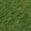 vidaXL Decor* Artificial Grass 3.3'X16.4'/0.8