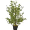 vidaXL Decor* Artificial Plant Cypress Tree With Pot Green 35.4