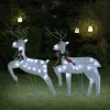 vidaXL Decor* Christmas Reindeers 2 Pcs White 40 Leds