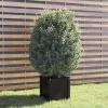 vidaXL Lawn & Garden* Garden Planter Black 15.7