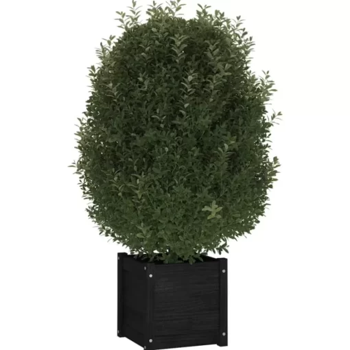 vidaXL Lawn & Garden* Garden Planter Black 15.7"X15.7"X15.7" Solid Wood Pine