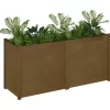 vidaXL Lawn & Garden* Garden Planter Honey Brown 59.1