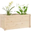 vidaXL Lawn & Garden* Garden Planters 2 Pcs 39.4