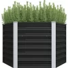 vidaXL Lawn & Garden* Garden Raised Bed Anthracite 50.8