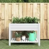 vidaXL Lawn & Garden* Garden Raised Bed White 43.3