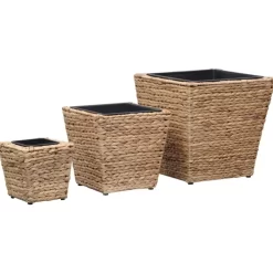 vidaXL Lawn & Garden* Garden Raised Beds 3 Pcs Water Hyacinth