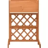 vidaXL Lawn & Garden* Garden Trellis Planter Orange 17.7