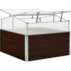 vidaXL Lawn & Garden* Greenhouse Brown 39.4