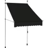 vidaXL Lawn & Garden* Manual Retractable Awning 39.4