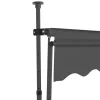 vidaXL Lawn & Garden* Manual Retractable Awning With Led 39.4