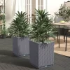 vidaXL Lawn & Garden* Planters 2 Pcs Dark Gray 11.8