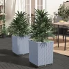 vidaXL Lawn & Garden* Planters 2 Pcs Light Gray 11.8