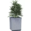 vidaXL Lawn & Garden* Planters 2 Pcs Light Gray 11.8