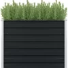 vidaXL Lawn & Garden* Raised Garden Bed Anthracite 39.4