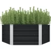 vidaXL Lawn & Garden* Raised Garden Bed Anthracite 50.8