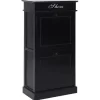 vidaXL Household Supplies* Shoe Cabinet Black 19.7