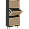 vidaXL Household Supplies* Shoe Cabinet Black 20.5