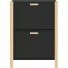 vidaXL Household Supplies* Shoe Cabinet Black 22.6