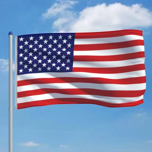 vidaXL Decor* Us Flag And Pole Aluminum 19.7'