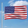 vidaXL Decor* Us Flag And Pole Aluminum 20.3'